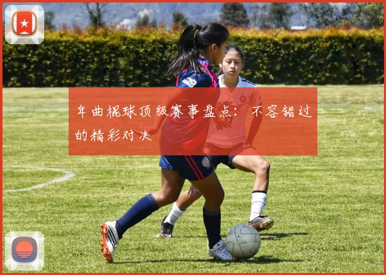 年曲棍球顶级赛事盘点：不容错过的精彩对决